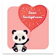 Seni Seviyorum