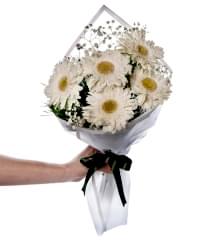 beyaz gerbera