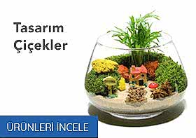 Öneçıkan Ürün