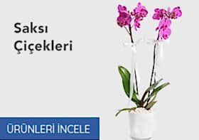 Öneçıkan Ürün